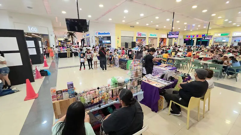 galerias